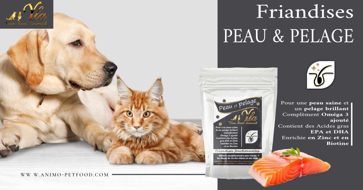 friandises-peau-et-pelage-pour-chien-hypoallergeniques